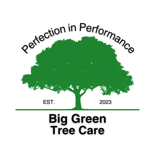 Big Green Tree Care