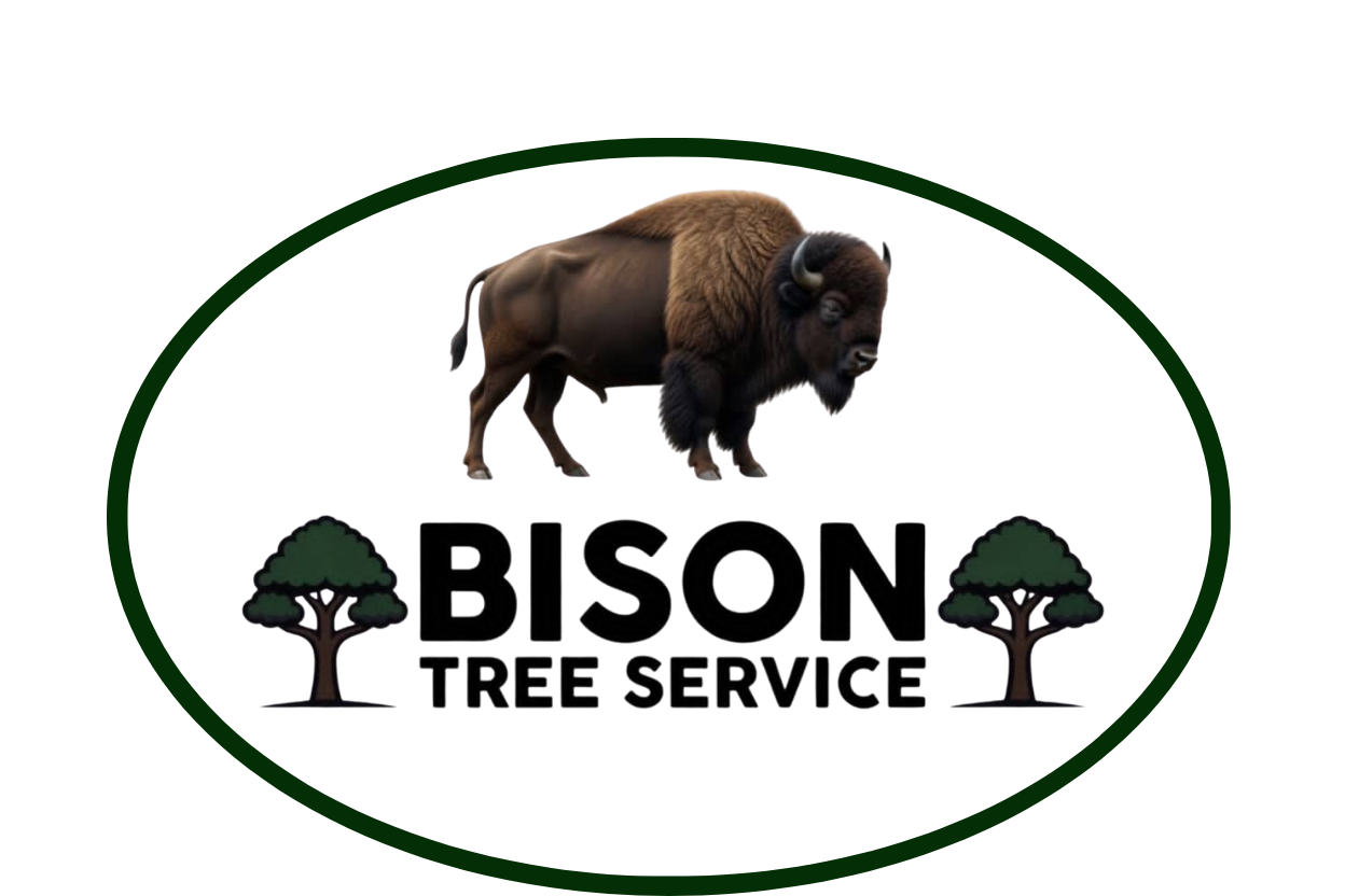 Bison Tree Service